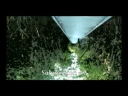 Submission 2.jpg (136 KB)