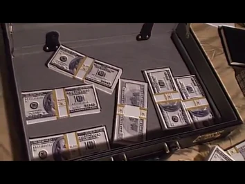The money shown in the briefcase.