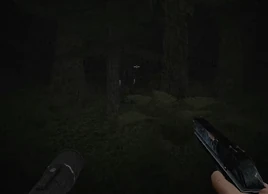 Protagonist (Slender Woods) | The Slender Man Wiki | Fandom