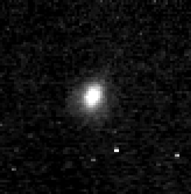 pluto 61z0utqZb9L._AC_UF350,