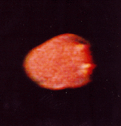 Voyager 1 color image of Amalthea.