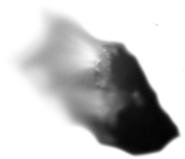 The Nucleus of Halley.