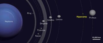 Inner moons of Neptune mapped out
