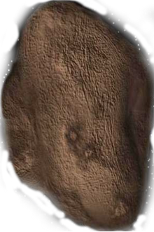 Weywot (Moon of 50000 Quaoar).png