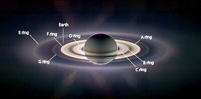 Labeled Rings