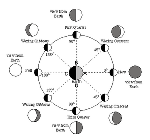 Phases of the Moon