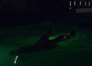 Number28death