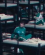 Player 344 waking up on the second day.