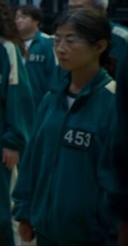 453fake
