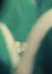 Proof of his number