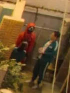 085 453 Marbles.jpg (38 KB) Player 085 and Player 453