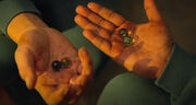 Marbles in crispy hands