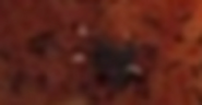 Player 096's corpse