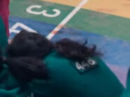 Player 448's icon in the third round of mingle