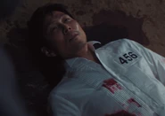 Ditto; another angle