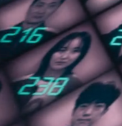 Player 238's icon