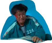 P.224.png