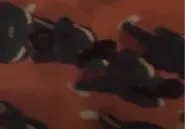 Player 310 alongside Player 119 before the first round of Mingle.