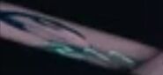 Player 211's icon (error)