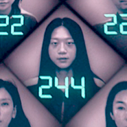 Player 244's icon