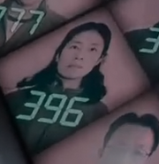 Player 396's Icon (error)