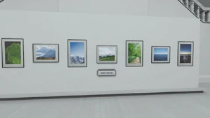 The nature paintings.