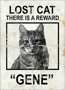 PaperTexture Gene