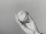 Cow's egg.