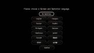 Please choose a Screen and Subtitle Language.