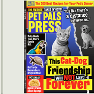 This Cat-Dog Friendship Will NOT Last Forever.