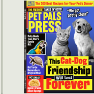 This Cat-Dog Friendship Will Last Forever.