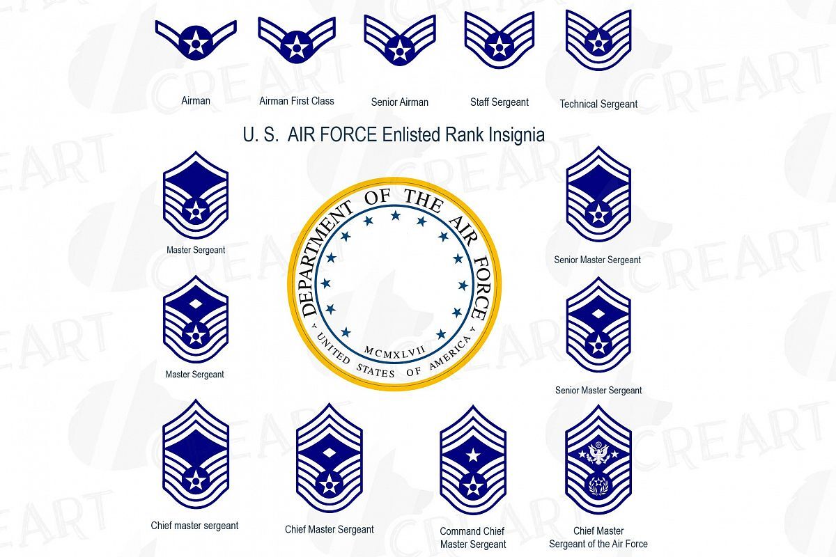 USAF Master Sergeant E7 Metal Rank Insignia Pair sites.unimi.it