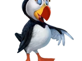 Puffin