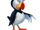 Puffin