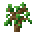 Sapling