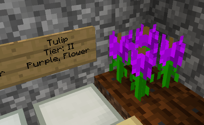 Tulip, Wiki