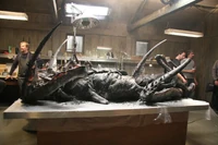 E603fef557af8834aa096e1c4f6b596a.jpg (95 KB)