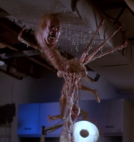 A long creature with spider-like appendages and dangling entrails. It hangs from the Surgery room ceiling after being violently expelled from the torso cavity.