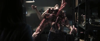 Vlcsnap-2011-12-30-07h03m01s165.png (923 KB)