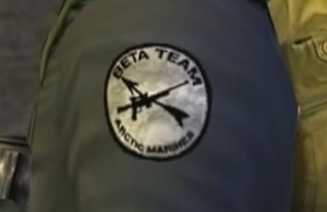 Beta Team, Arctic Marines insignia - The Thing (2002)