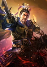 Romance of the Three Kingdoms XIII