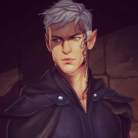 Rowan Whitethorn Gallery Throne Of Glass Wiki Fandom Aelin giving rowan some shit. rowan whitethorn gallery throne of