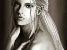 Aelin-0.jpg