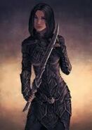 Nesryn in armor