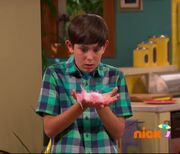 Billy sneezes feathers