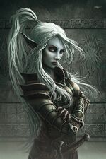 Drow Fighter