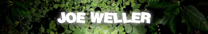 Joe Weller Banner