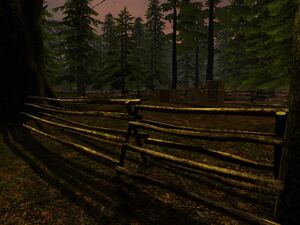 The Shooting Range