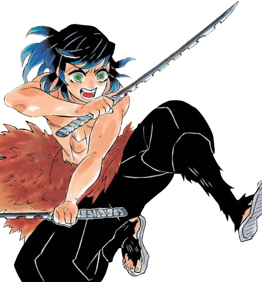 Demon Slayer: Kimetsu no Yaiba - Tanjiro and Inosuke face off