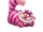 Cheshire Cat